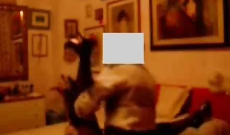 મોર્ગન લી સુંદર порно2019 sucks 10 કોક્સ
